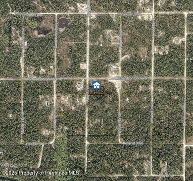 LOT 15 Alloy St, Webster, FL 33597 - photo 3