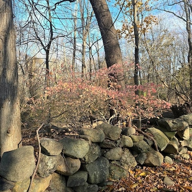 79 Hillside St, Milton, MA 02186 - photo 4