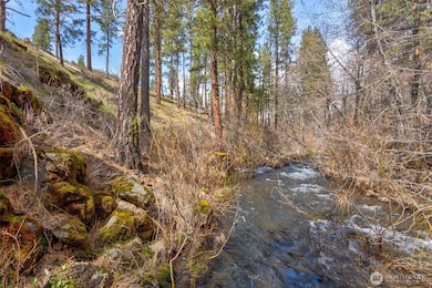 0 Box Canyon Rd unit NWM2402336, Goldendale, WA 98620 - photo 6