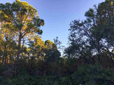 0 Yates Creek Rd unit 275087, Perry, FL 32348 - photo 2