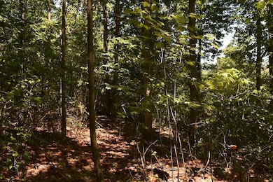 0 Sam Baughman Rd unit LotWP001 24575594, Stanford, KY 40484 - photo 6