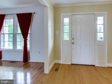 4608 Deming Ave, Alexandria, VA 22312 - photo 2