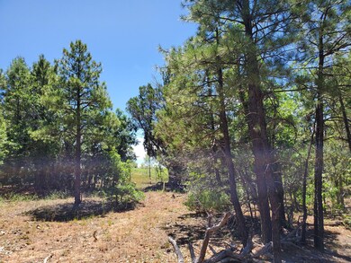 1151 S Falling Leaf Road