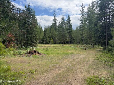 456 Tamarack Ln, Sagle, ID 83860 - photo 4