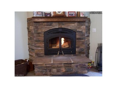 Fireplace features a blower which really throws ou