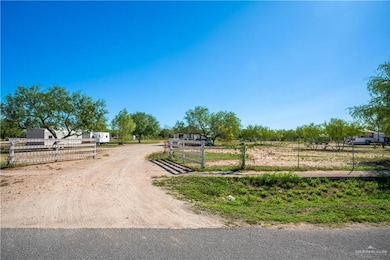 10002 Viznaga Dr, Edinburg, TX 78542 - photo 2