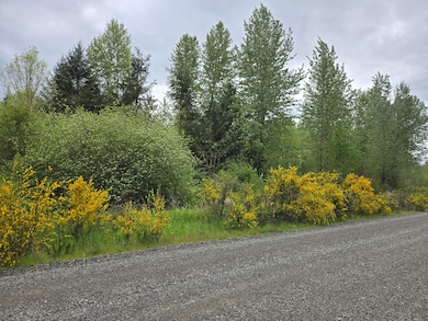 5102 Harts Lake Rd S, Roy, WA 98580 - photo 5