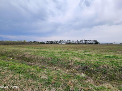 P-2 Stirling Ln, Duson, LA 70529 - photo 2
