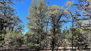 0 Paradise Loop unit 25411750, Quemado, NM 87829 - photo 4