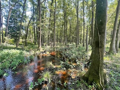 648 Bc Estates Ln, Cross, SC 29436 - photo 5