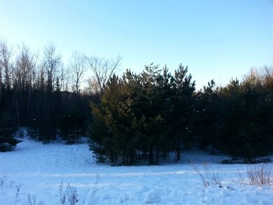 26.6 acres Old Highway 51 unit `and Nelson Avenue, Merrill, WI 54452 - photo 7