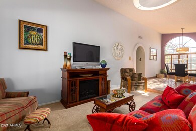 Hackamore 7