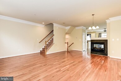 7909 Homefield Dr, Hyattsville, MD 20785 - photo 6