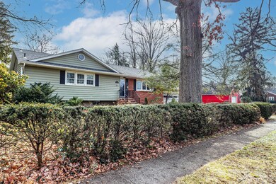 12 Ross Ave, Metuchen, NJ 08840 - photo 4
