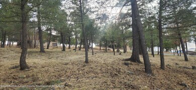 unlisted-address, Ruidoso, NM 88345 - photo 4