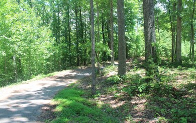 Additional View