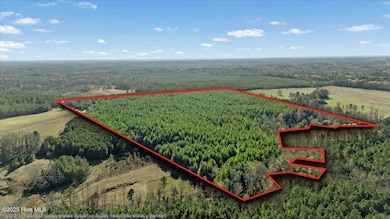 35895 N Carolina 561, Hollister, NC 27844 - photo 7