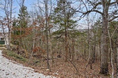 Lot 10 Greenbrier Dr, Kimberling City, MO 65686 - photo 7