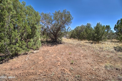 1916 Daggs Cir, Show Low, AZ 85901 - photo 6