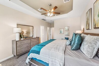 Primary suite with tray ceiling