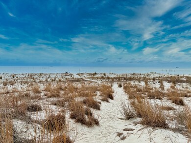 Beautiful Dunes