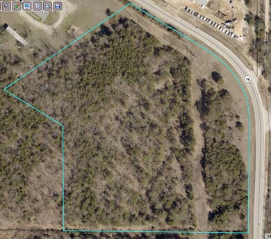 000 E State Highway 76, Branson, MO 65616 - photo 5