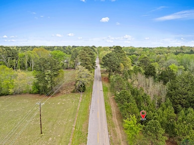 Bird's eye view featuring a view of trees