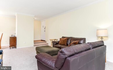 Chestnut Grove Condominiums unit 243, Reston, VA 20190 - photo 7