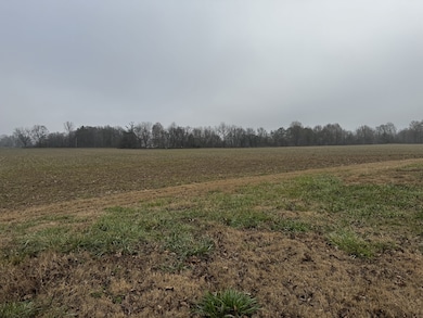 0 Lightfoot Luckett Rd, Ripley, TN 38063 - photo 6