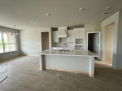 1048 Winecup Ln, Weatherford, TX 76085 - photo 3