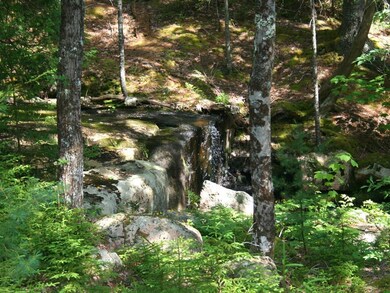 Border stream