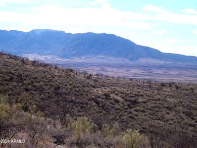 Red Mountain lot 1 05