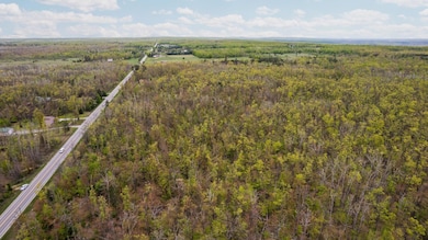 2-web-or-mls-DJI_0005