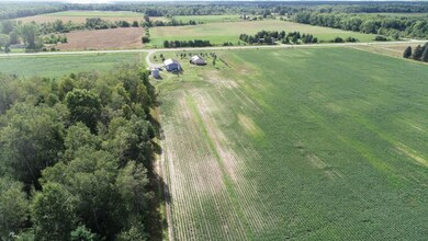 130 N Hale Rd, Twining, MI 48766 - photo 3