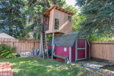 Shed & treehouse