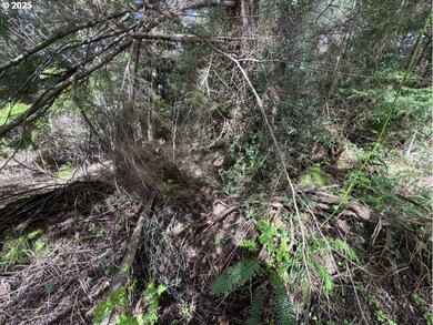 0 Wildberry Rd, Coosbay, OR 97420 - photo 7