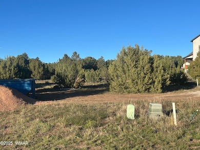 521 S Rockcreek Dr, Show Low, AZ 85901 - photo 2