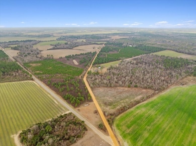 0 Blue Springs Rd unit 138600, Sylvester, GA 31791 - photo 7