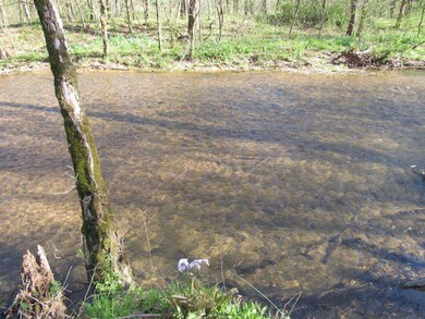 0 Hurricane Creek Rd unit 1816034, Linden, TN 37096 - photo 7