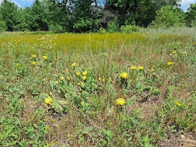 10.01AC Barberry Ave, Brooks Township, MI 49337 - photo 4