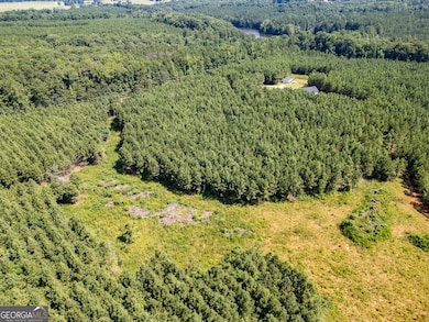 0 7 Island Rd unit 10560556, Monticello, GA 31064 - photo 4