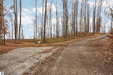 Lot D Retreats Way, Rapid City, MI 49676 - photo 5