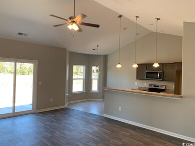 282 Maiden's Choice Rd unit Lot 126, Conway, SC 29527 - photo 4