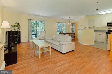 4520 Superior Square unit 4520, Fairfax, VA 22033 - photo 5