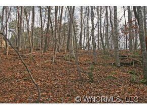 Lot 37 Wolf River Ln unit 37, Lake Lure, NC 28746 - photo 6