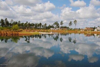 1807 Dudley Ct, Leland, NC 28451 - photo 3