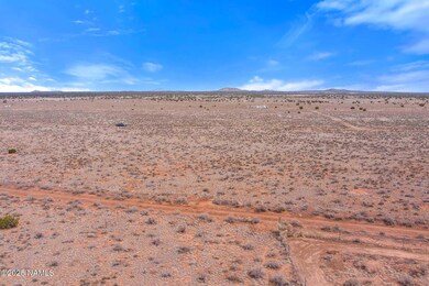 2694 E Columbus Dr, Valle, AZ 86046 - photo 4