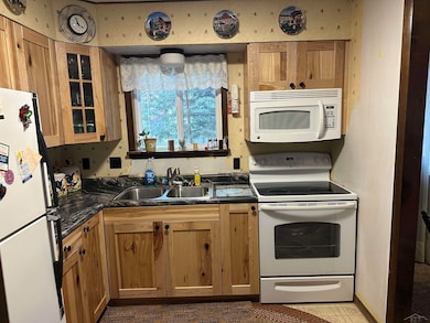 2832 Creekview Dr, Grayling, MI 49738 - photo 6