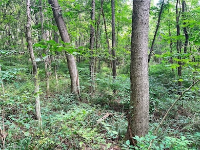 14252 State Route 83, Coshocton, OH 43812 - photo 7