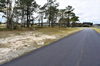 518 Pilots Ridge, Wilmington, NC 28412 - photo 6
